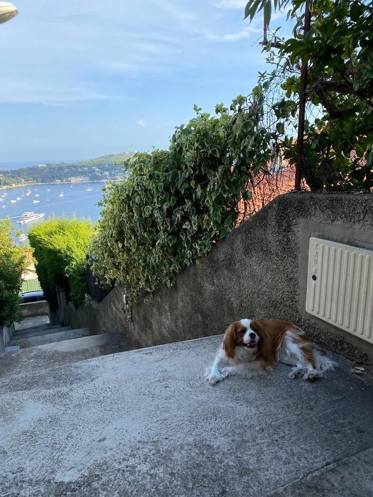 Hotel La Fiancee Du Pirate Villefranche-sur-Mer